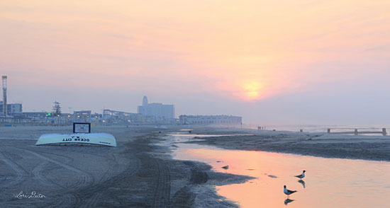Lori Deiter LD1708 - Ocean City Sunrise - 18x9 Ocean City, Maryland, Beach, Boats, Birds, Sand, Coast, Nature from Penny Lane