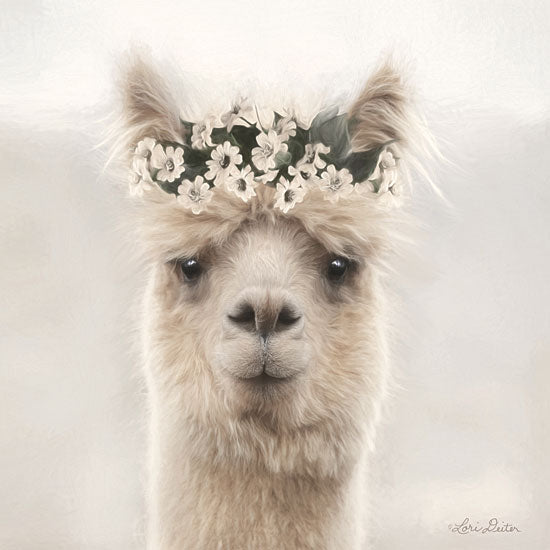 Lori Deiter LD1735 - LD1735 - Alpaca with Flowers - 12x12 Alpaca, Flowers, Portrait, Selfie, Photography from Penny Lane