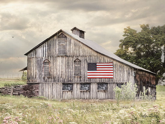 Lori Deiter LD1748 - LD1748 - Rural Virginia Barn - 16x12 Farm, Barn, American Flag, Stormy Weather, Rustic, Americana from Penny Lane