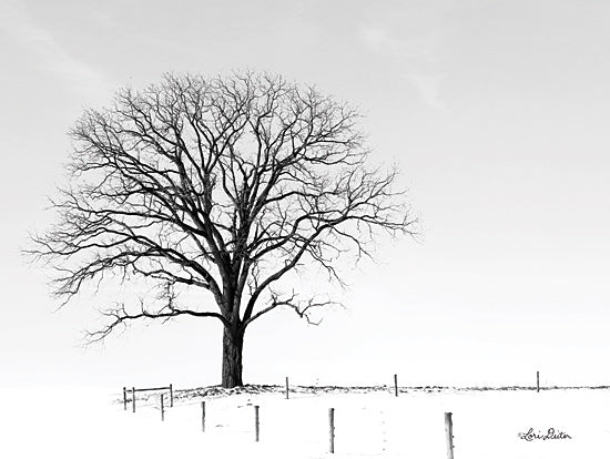 Lori Deiter LD1764 - LD1764 - Bare - 16x12 Snow, Tree, Field, Winter, Landscape, Photography from Penny Lane