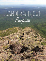 LD1775 - Wander Without Purpose - 12x16