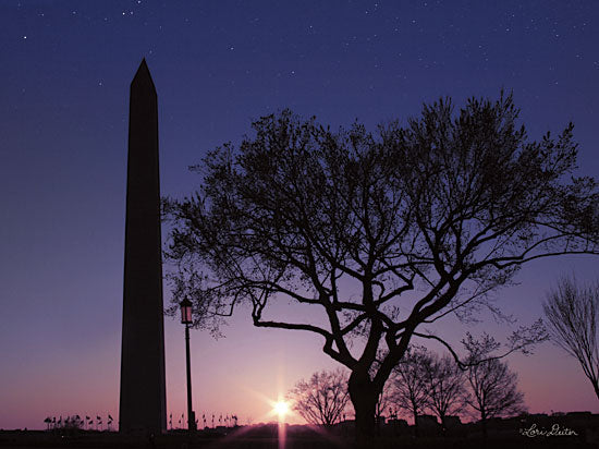 Lori Deiter LD1790 - LD1790 - Nightfall at the Washington Monument - 16x12 Washington Monument, Night, Evening, Trees, Washington DC from Penny Lane