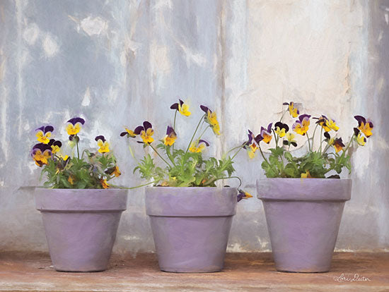 Lori Deiter LD1801 - LD1801 - Pansy Still Life I - 16x12 Floral, Still Life, Pansies, Photography, Potted Flowers from Penny Lane