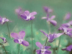 LD1803 - Wild Violets - 16x12