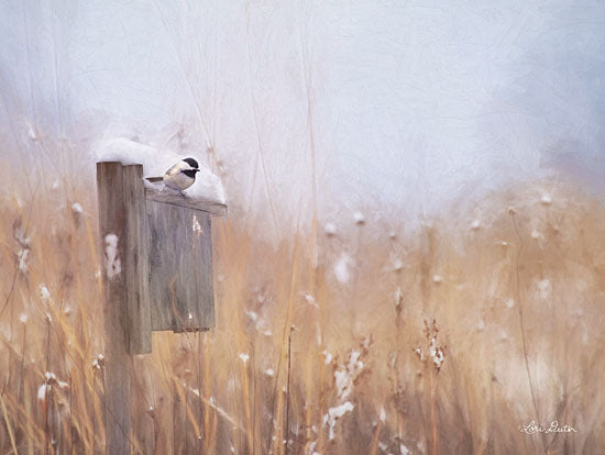 Lori Deiter LD1823 - LD1823 - Countdown Til Spring - 16x12 Chickadee, Bird, Field, Winter, Birdhouse from Penny Lane
