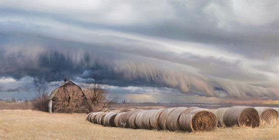 Lori Deiter LD1888 - LD1888 - Tornado Warning - 18x9 Barn, Hay Bales, Storm, Tornado, Photography, Country from Penny Lane