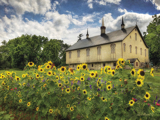 Lori Deiter LD277 - Sunflower Garden  Sunflowers, Barn, Flowers, Autumn from Penny Lane