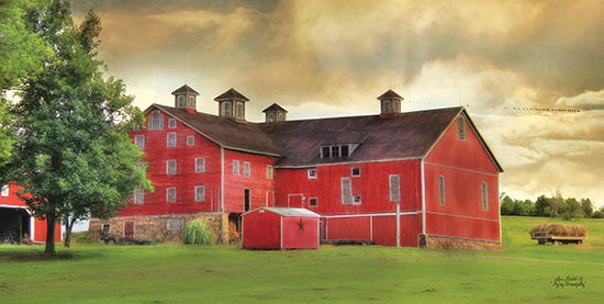 Lori Deiter LD527 - Aging Gracefully  Farm, Barn, Landscape from Penny Lane