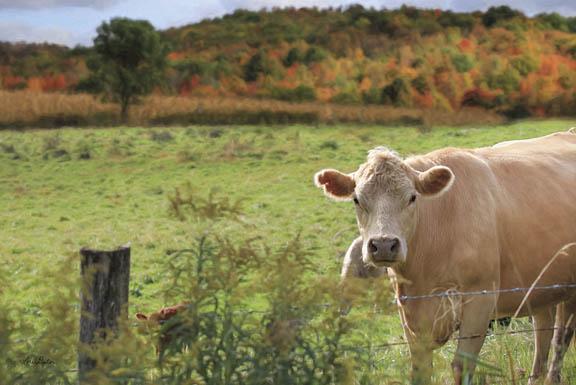 Lori Deiter LD862 - Fall Cow - Cow, Autumn, Field from Penny Lane Publishing