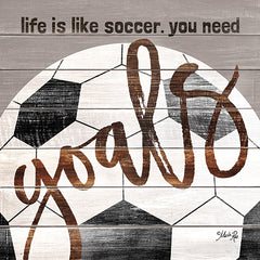 MA2475GP - Soccer Goals