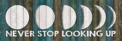 MAZ5231 - Never Stop Looking Up - 24x8