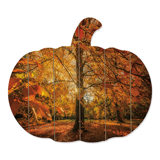 Mollie B. MPP263PUMP - Autumn Leaves Autumn, Trees, Leaves, Forest, Sun, Photography from Penny Lane