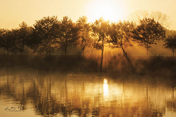 Martin Podt MPP369 - Morning Glory - Trees, Lake, Reflection, Sun Beams from Penny Lane Publishing