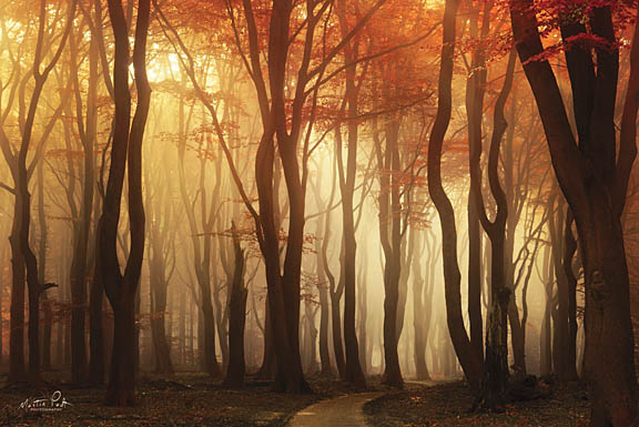 Martin Podt MPP371 - Hot Red - Trees, Sun, Path, Autumn from Penny Lane Publishing