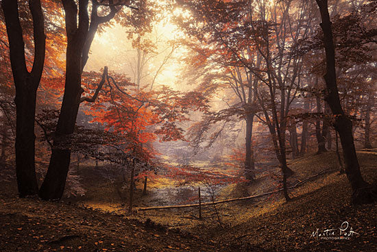 Martin Podt MPP375 - The Pool - Tress, Forest, Fall, Sunlight, Nature from Penny Lane Publishing