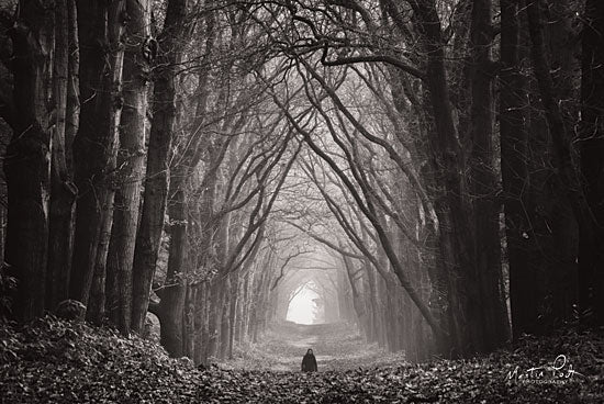 Martin Podt MPP380 - In the Land of Gods and Monsters - Trees, Winter, Girl, Path, Black & White from Penny Lane Publishing