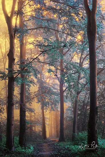 Martin Podt MPP393 - Wonderland Trees, Forest, Path, Sunlight, Nature from Penny Lane