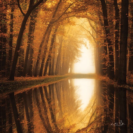Martin Podt MPP414 - Lochem Reflections Trees, Path, Reflections, Autumn, Sun from Penny Lane