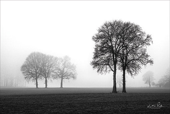 Martin Podt MPP416 - Together Again Trees, Black & White, Landscape from Penny Lane