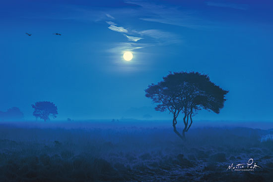 Martin Podt MPP425 - Blue Savannah Savannah, Blue, Moonlight, Nighttime, Field, Landscape from Penny Lane