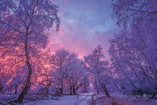 Martin Podt MPP427 - Winter Wonderland  Winter, Trees, Snow, Path, Street from Penny Lane