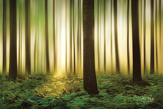 Martin Podt MPP433 - Forest in Motion Trees, Ferns, Sunlight, Forest from Penny Lane