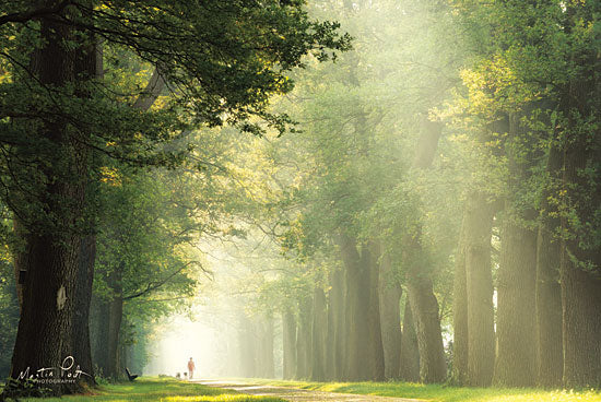 Martin Podt MPP442 - Take a Walk Trees, Forest, Path, Figure, Pets, Sunlight from Penny Lane