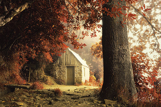 Martin Podt MPP463 - The House Stone House, Autumn, Red Leaves, Trees, Path from Penny Lane
