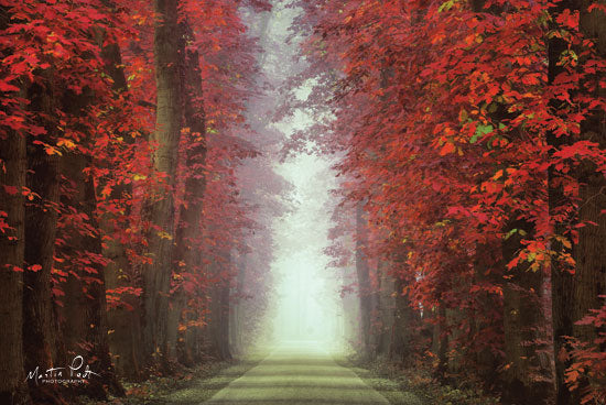 Martin Podt MPP464 - In Love with Red Trees, Red Leaves, Autumn, Path, Sunlight from Penny Lane