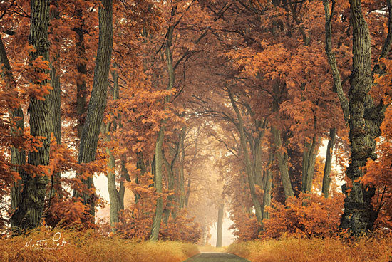 Martin Podt MPP466 - Follow Your Own Way Autumn, Trees, Path, Forest, Archway, Sunlight from Penny Lane
