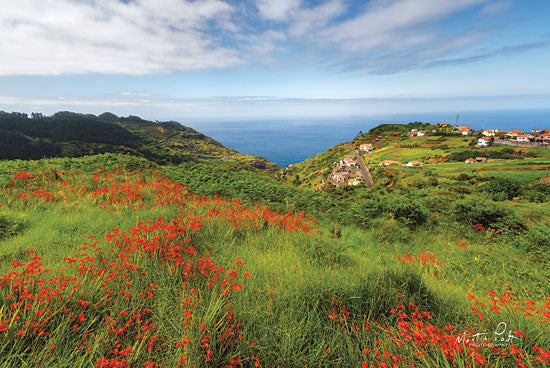 Martin Podt MPP468 - Flowers of Madeira Mountains, Madeira, Flowers, Wildflowers, Red, Village from Penny Lane