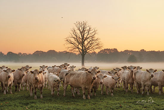 Martin Podt MPP481 - MPP481 - Just Come Cows and A Dead Tree - 18x12 Photography, Cows, Tree, Fog, Landscape from Penny Lane