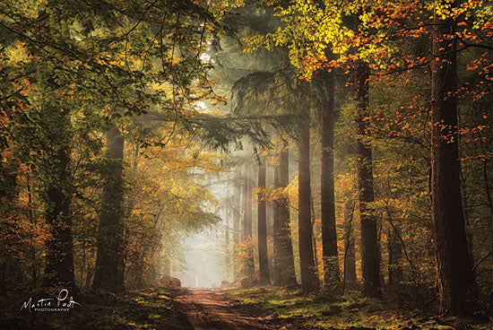 Martin Podt MPP495 - Lush - 18x12 Path, Pathway, Forest, Trees, Sunlight from Penny Lane
