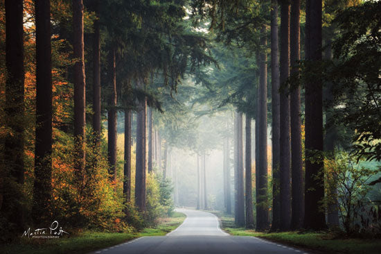 Martin Podt MPP504 - MPP504 - Mysterious Roads    - 18x12 Road, Trees, Photography from Penny Lane