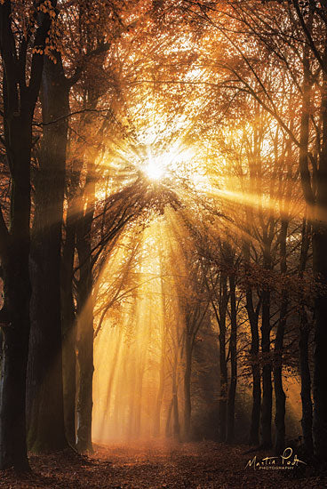 Martin Podt MPP506 - MPP506 - Sunburst     - 12x18 Trees, Fall, Sunburst, Sun Rays, Pathway, Photography from Penny Lane