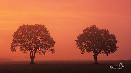 Martin Podt MPP515 - The Couple - 18x9 Trees, Sunlight, Red Light, Photography  from Penny Lane