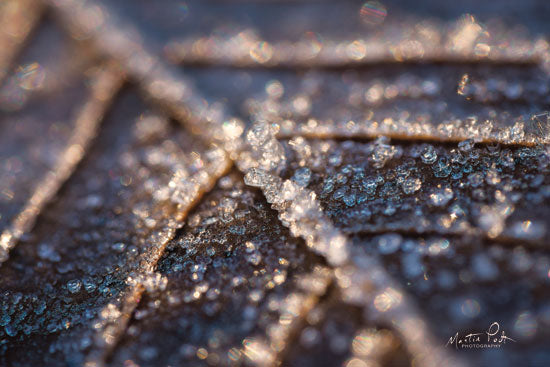 Martin Podt MPP531 - Frozen Leaf - 18x12 Frozen, Leaf, Ice, Winter from Penny Lane