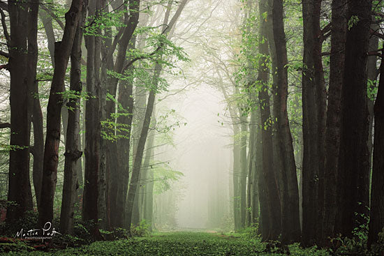 Martin Podt MPP535 - MPP535 - Moisture is the Essence of Wetness    - 18x12 Trees, Forest, Fog, Path,  Nature from Penny Lane