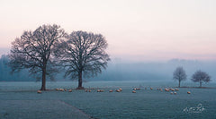 MPP537 - Sheep on a Cold Morning - 18x9