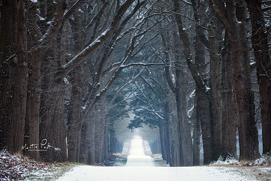 Martin Podt MPP542 - MPP542 - Cold Road - 18x12 Photography, Trees, Path, Road, Winter, Snow from Penny Lane