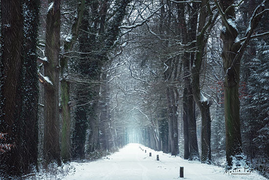 Martin Podt MPP543 - MPP543 - Snow in Markelo - 18x12 Photography, Trees, Path, Road, Winter, Snow from Penny Lane