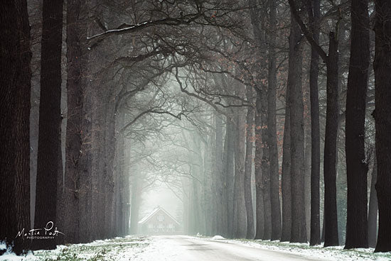 Martin Podt MPP545 - MPP545 - Haunted House - 18x12 Photography, Trees, Path, Road, Winter, Snow, House, Haunted House from Penny Lane