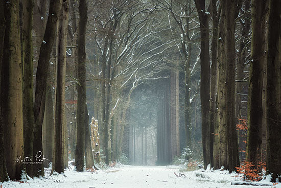 Martin Podt MPP546 - MPP546 - Winer Alley - 18x12 Photography, Trees, Path, Road, Winter, Snow from Penny Lane