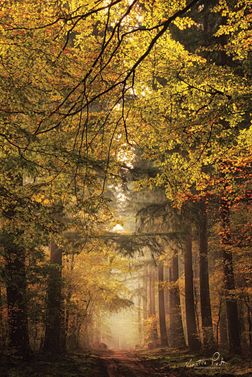 Martin Podt MPP560 - MPP560 - Memories of the Past - 18x12 Trees, Forest, Path, Nature, Landscape, Photography from Penny Lane
