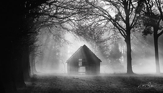Martin Podt MPP566 - MPP566 - The Shed - 18x9 Trees, Broken Down Barn, Barn, Fog, Forest, Photography from Penny Lane