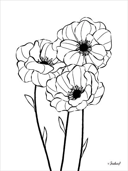 Martina Pavlova PAV167 - Poppies in Bloom - 12x16 Flowers, Poppies, Black & White from Penny Lane