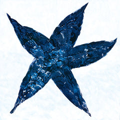 REAR264 - Midnight Starfish - 12x12