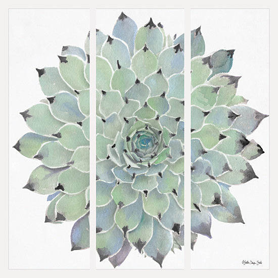 Stellar Design Studio SDS235 - SDS235 - Agave Triptych 1 - 12x12 Triptych, Agave, Plant, Tropical from Penny Lane